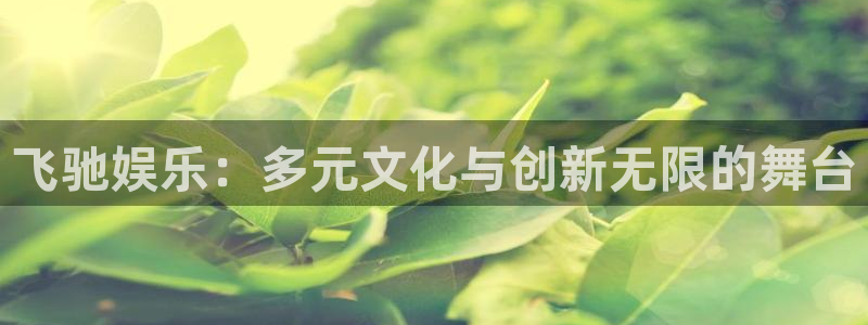 人生就是搏代理加盟