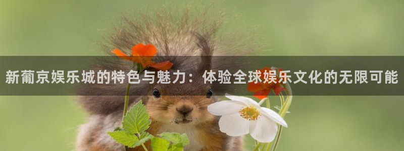 尊龙凯时人生就是搏官网登录