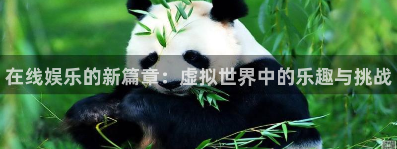 人生就是搏集团是做什么的
