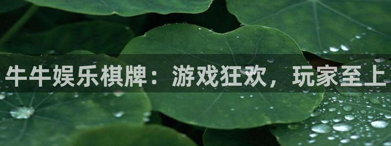 尊龙凯时人生就是搏集团