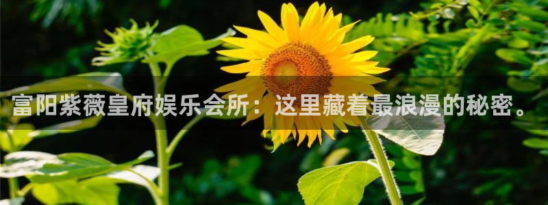 尊龙凯时人生就是搏集团