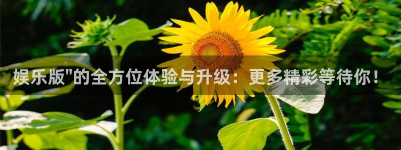 尊龙时凯人生就是搏官网