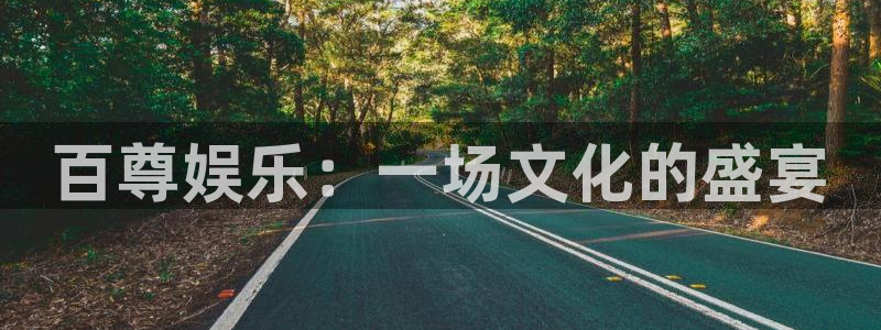尊龙时凯人生就是搏：百尊娱乐：一场文化的盛宴