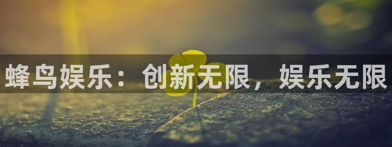 尊龙人生就是搏：蜂鸟娱乐：创新无限，娱乐无限