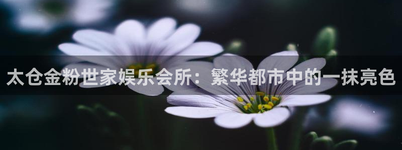 尊龙凯时人生就是搏z6com：太仓金粉世家娱乐会所：繁华都市中的一抹亮色