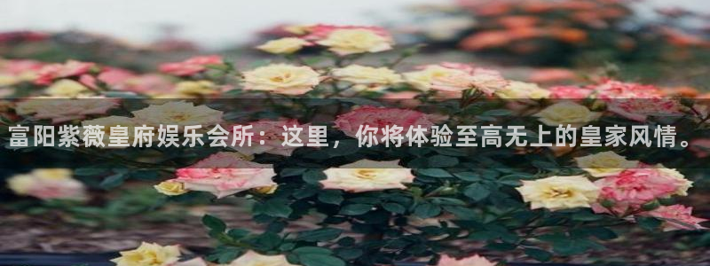 尊龙凯时人生就是搏平台：富阳紫薇皇府娱乐会所：这里，你将体验至高无上的皇家风情。