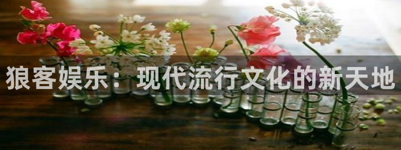 尊龙时凯人生就是搏官网：狼客娱乐：现代流行文化的新天地