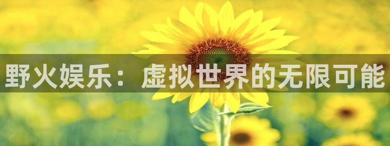 尊龙凯时人生就是搏官网登录：野火娱乐：虚拟世界的无限可能