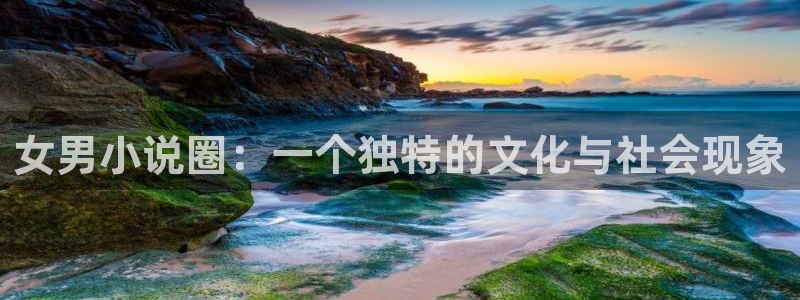 人生就是搏手机版：女男小说圈：一个独特的文化与社会现象
