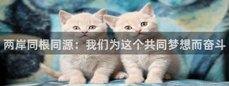 尊龙人生就是搏：两岸同根同源：我们为这个共同梦想而奋斗