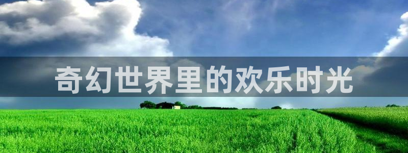 人生就是搏尊龙：奇幻世界里的欢乐时光