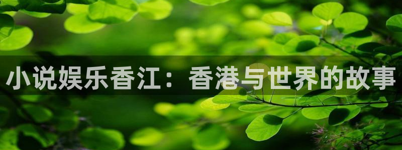 z6com(尊龙)人生就是搏股份有限公司：小说娱乐香江：香港与世界的故事