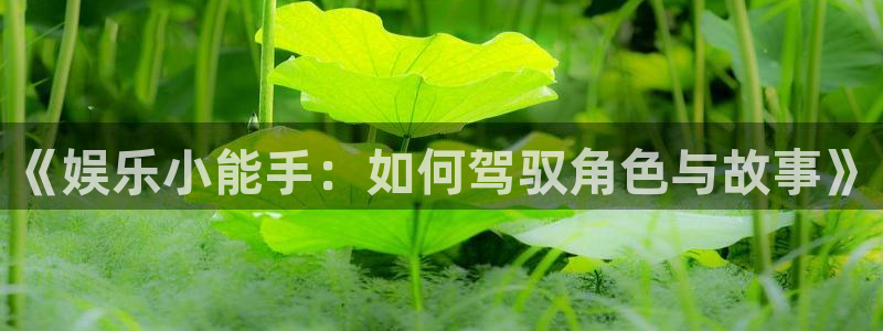 尊龙人生就是搏z6：《娱乐小能手：如何驾驭角色与故事》