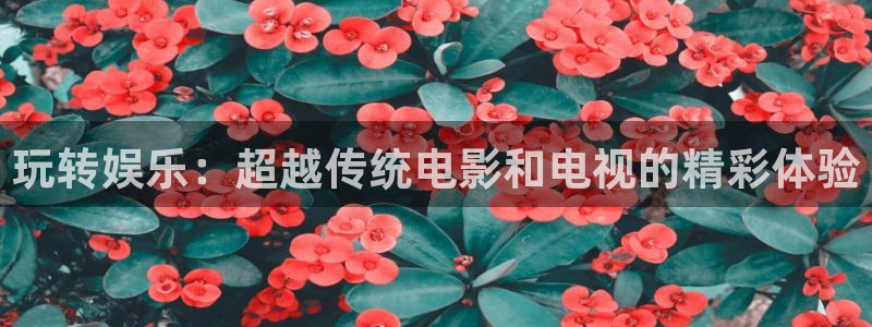 尊龙凯时人生就是搏官网登录：玩转娱乐：超越传统电影和电视的精彩体验