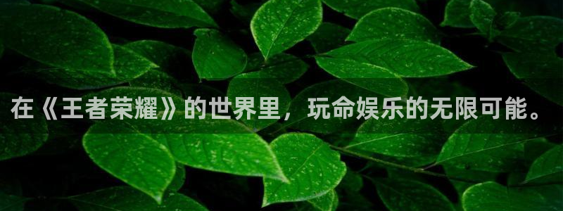 人生就是搏官网：在《王者荣耀》的世界里，玩命娱乐的无限可能。