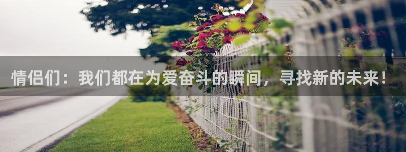 尊龙时凯人生就是搏：情侣们：我们都在为爱奋斗的瞬间，寻找新的未来！